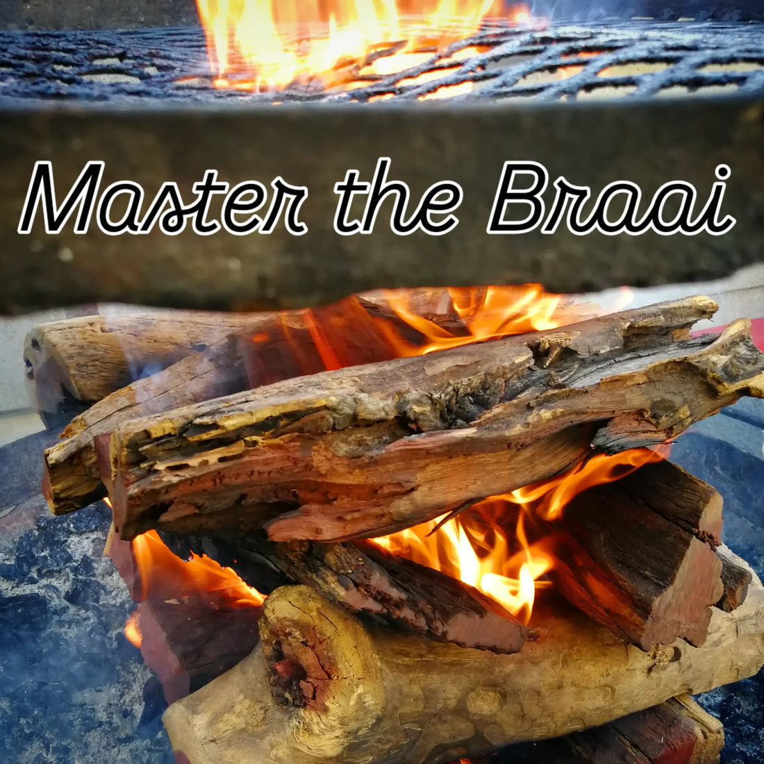 Mastering the Braai: The best Guide to a South African Barbecue