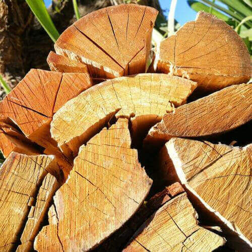 Blue Gum Wood Bulk loose pieces available in Cape Town