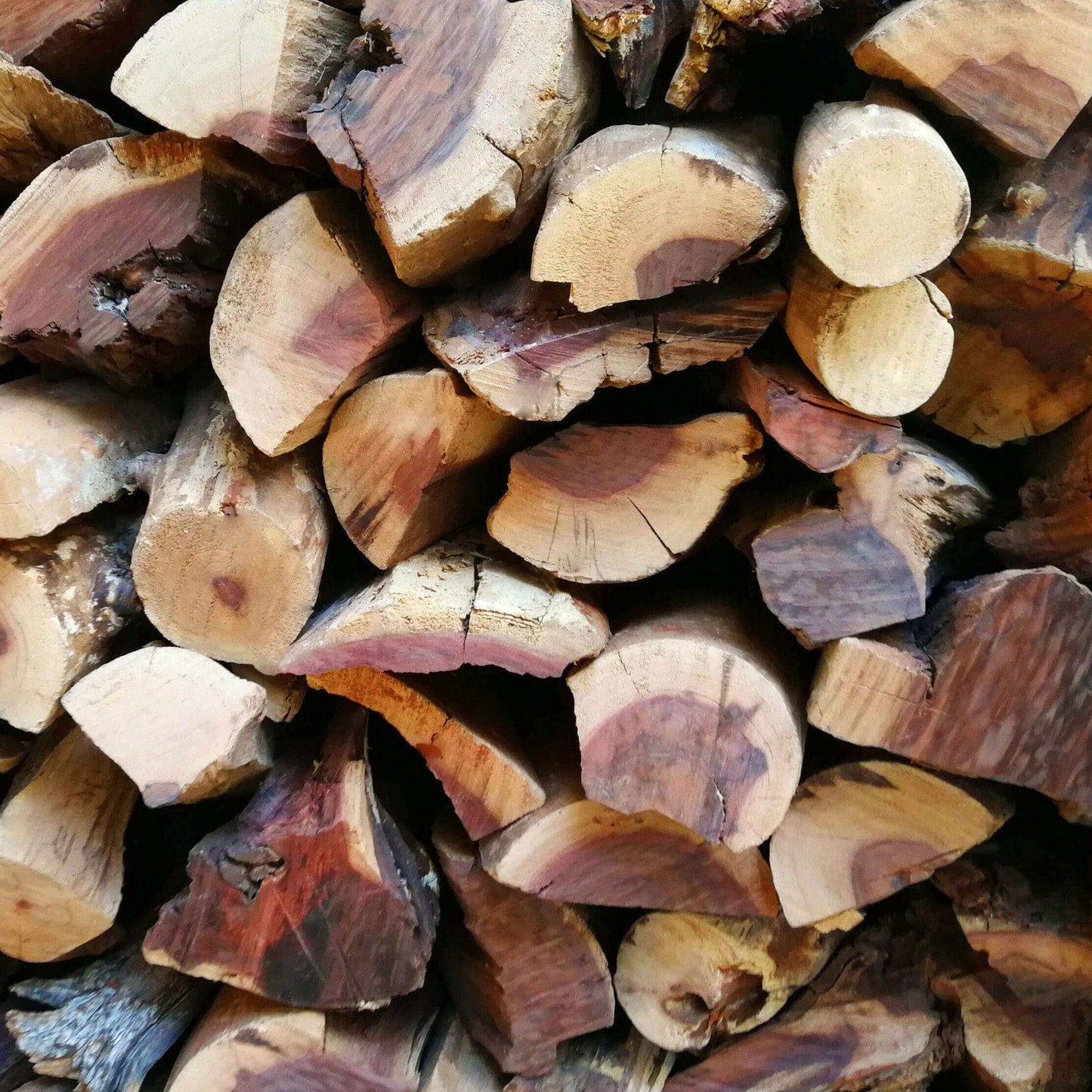 Mopani Wood, a Namibian Hardwood (Mopane), from Namibia supplied in Bulk - Available for Delivery in Cape Town