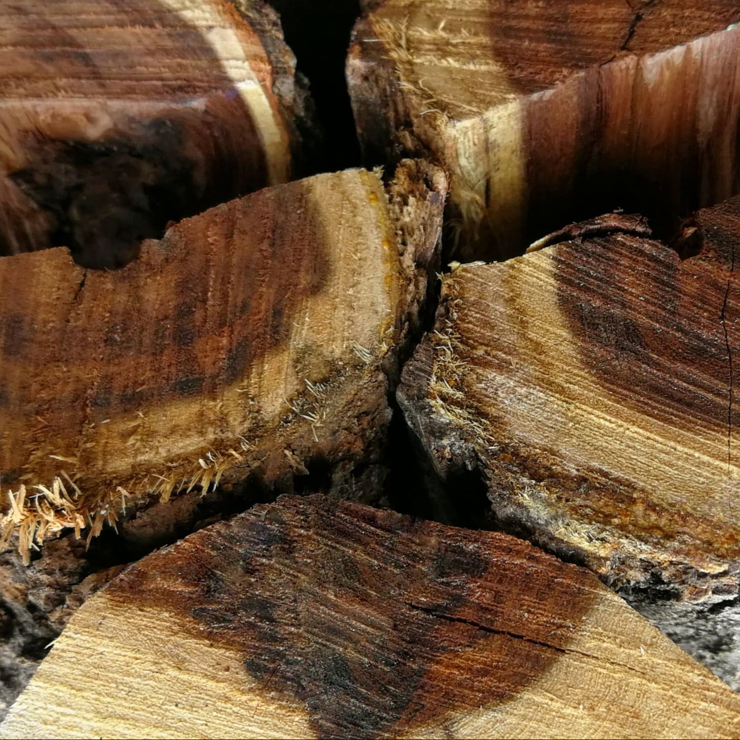 Swarthaak Hardwood Bulk - Braai wood from the Black Thorn Acacia Tree - 100KG Firewood or more for sale near Cape Town